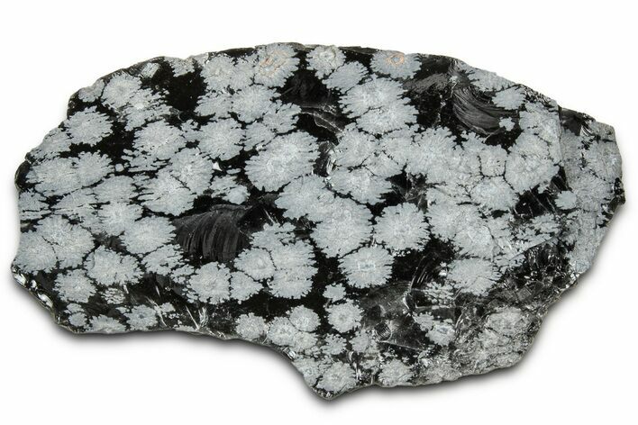 Snowflake Obsidian Section - Utah #327129